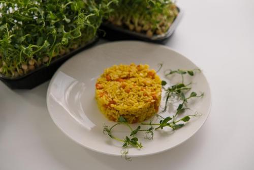 Изображение Рис цветной